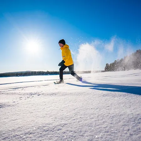 Chalet Lapland Aurora Riverside Raiskio