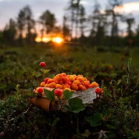 Chalet Lapland Aurora Riverside Raiskio