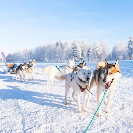 Chalet Lapland Aurora Riverside *