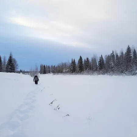Lapland Aurora Riverside Raiskio