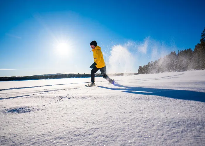 Chalet Lapland Aurora Riverside Raiskio