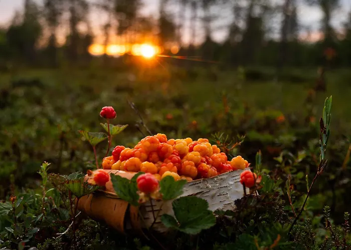 Chalet Lapland Aurora Riverside Raiskio