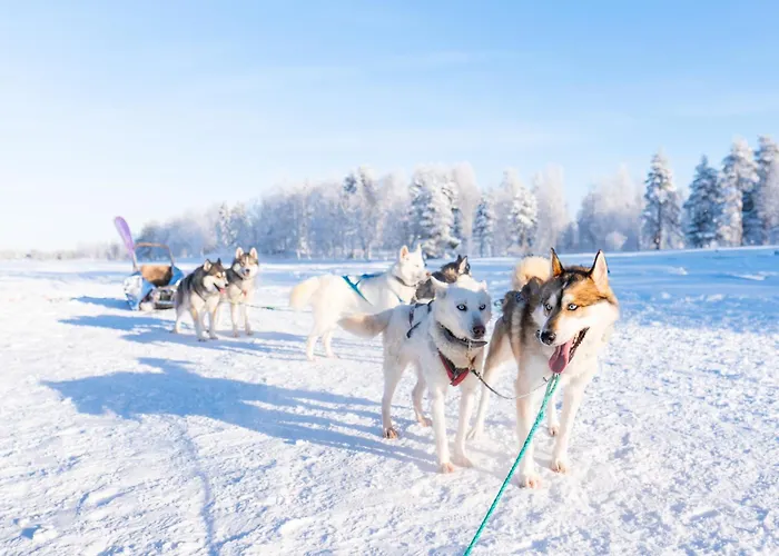 Chalet Lapland Aurora Riverside *