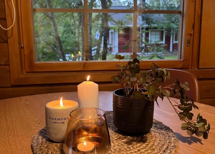 Lapland Aurora Riverside * Raiskio