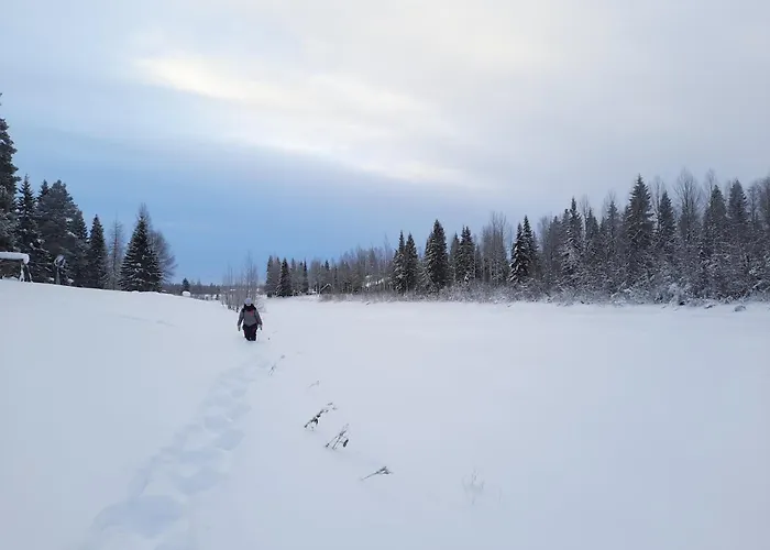 Lapland Aurora Riverside Raiskio