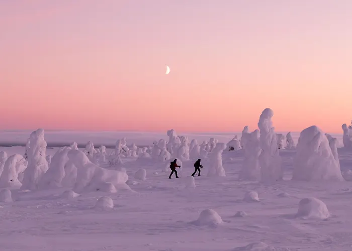 Chalet Lapland Aurora Riverside *